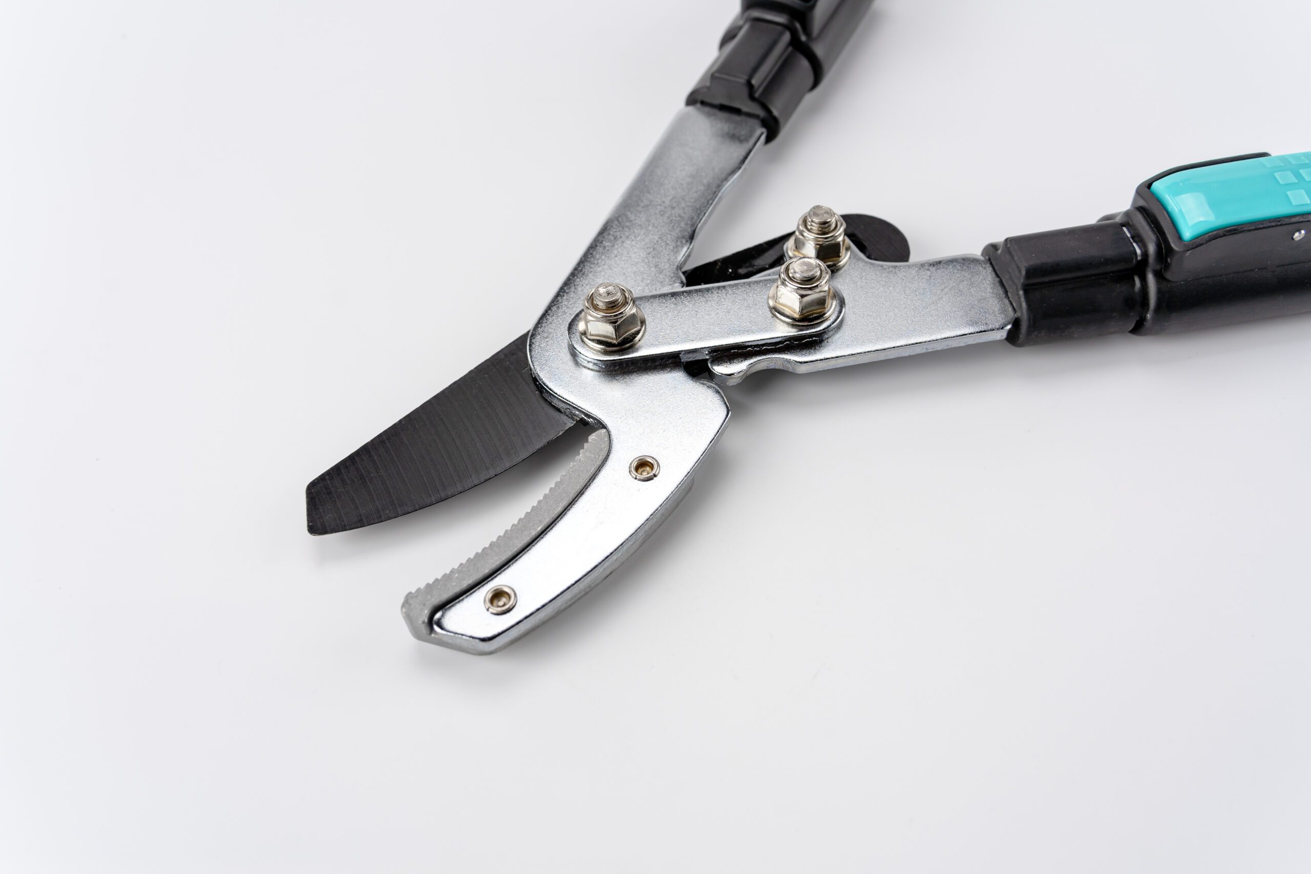 7WS05159-編輯-scaled-1